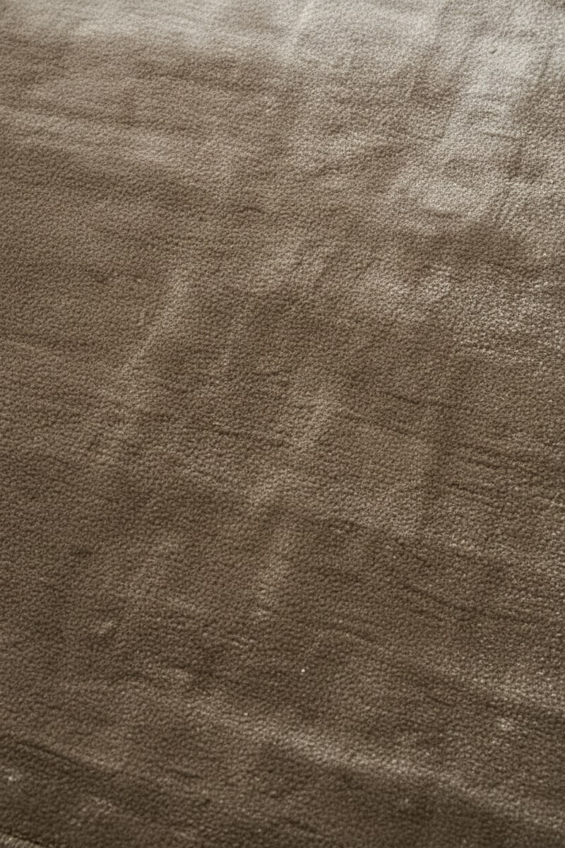 Mushroom Velvet-Pile Large Bedroom Area Rug view 2