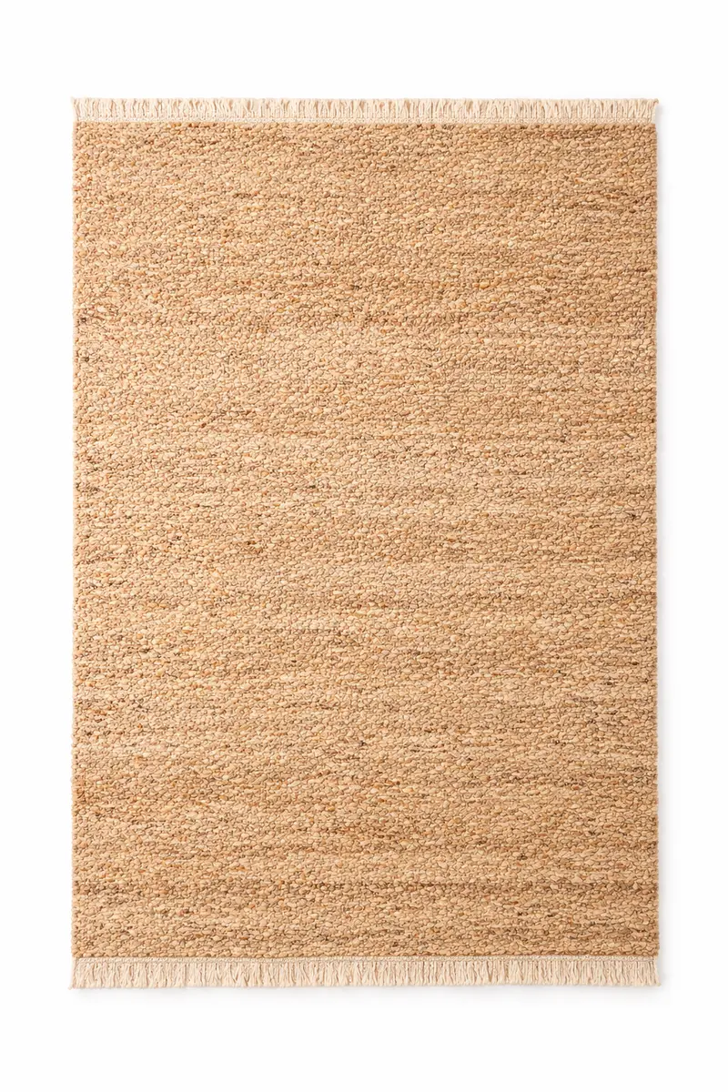 Budget large area rug anchoring a living room seating area