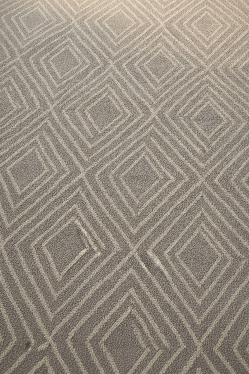 Silver Grey Geometric Minimalist Area Rug styled in a room